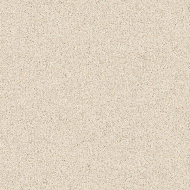 Santa Rosa carpet by Masland
