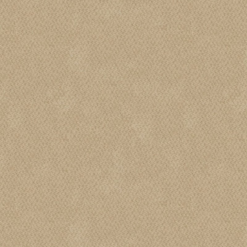 New Hope carpet by Masland
