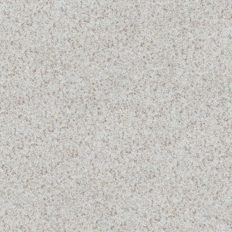 Boca Raton carpet by Masland