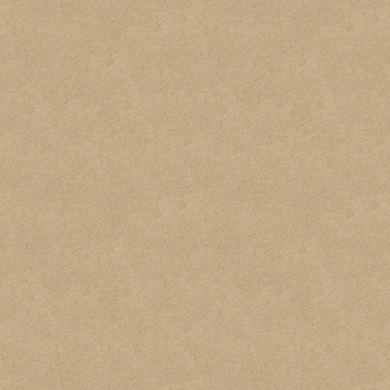 Embrace carpet by Masland