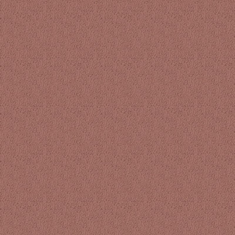 Novellino carpet by Masland