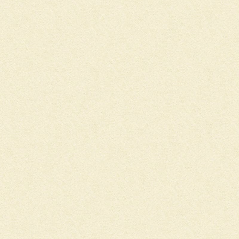 Vero Beach carpet by Masland