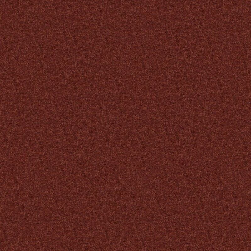 Embrace carpet by Masland
