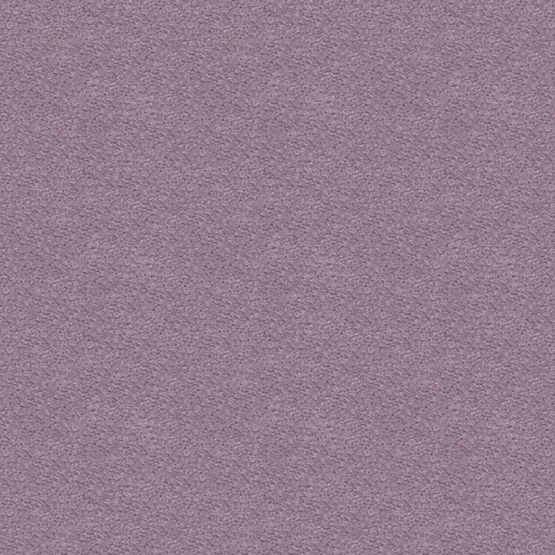 Ravishing carpet by Masland