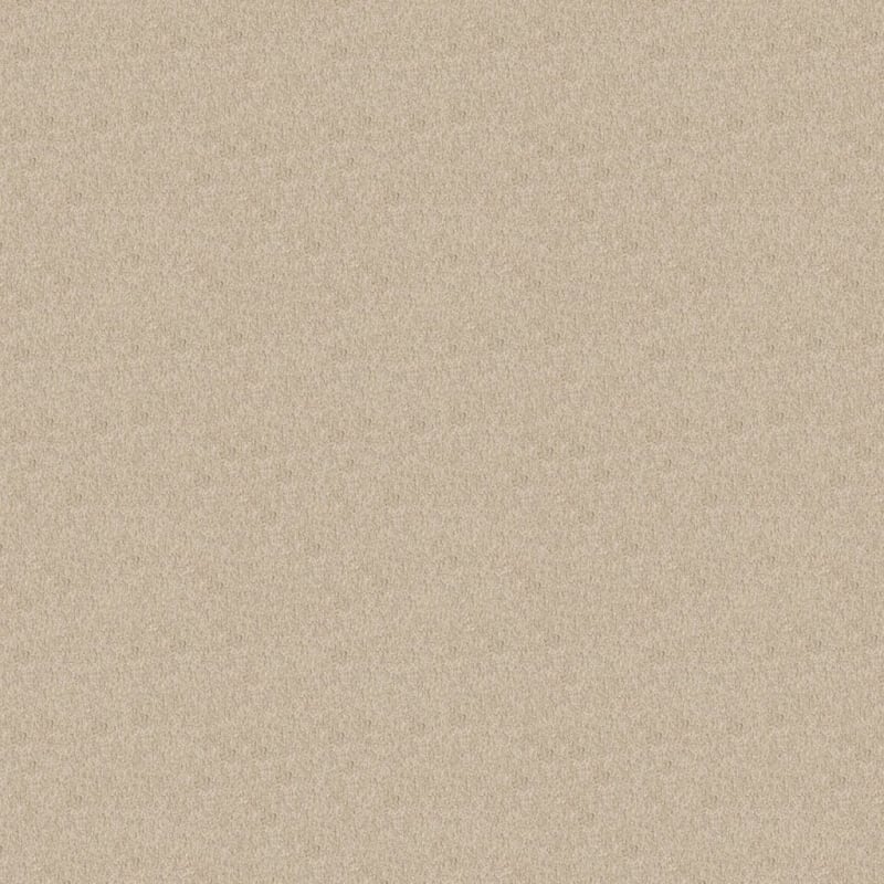Oceanside carpet by Masland