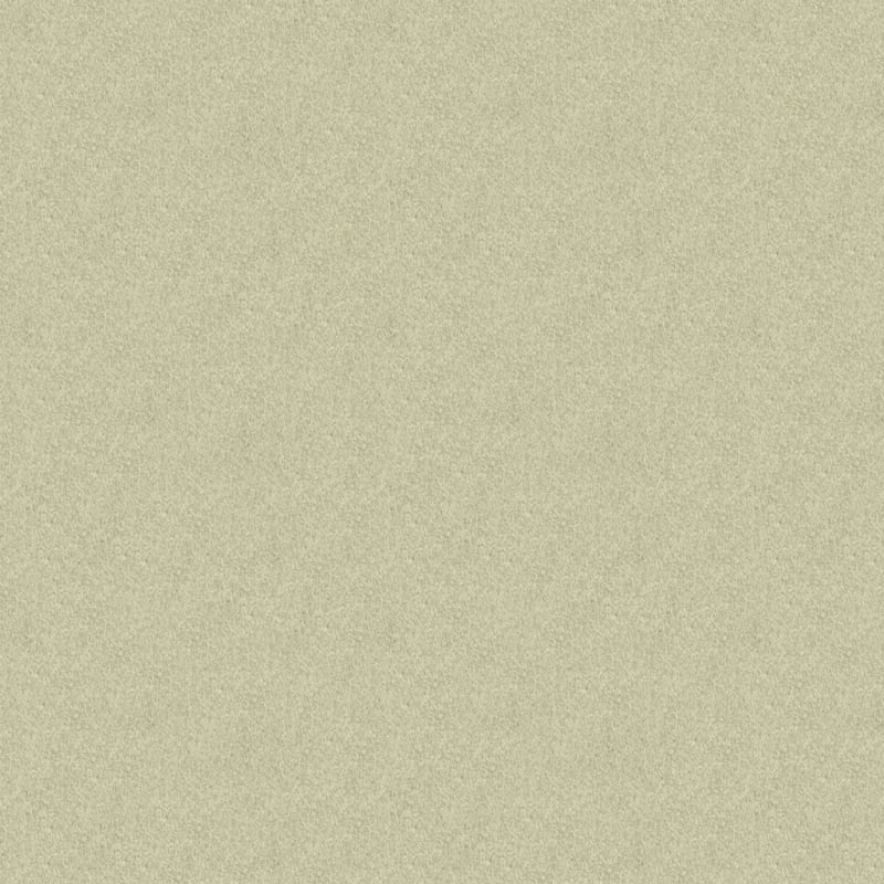Oceanside carpet by Masland