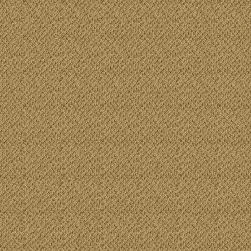 Seurat carpet by Masland