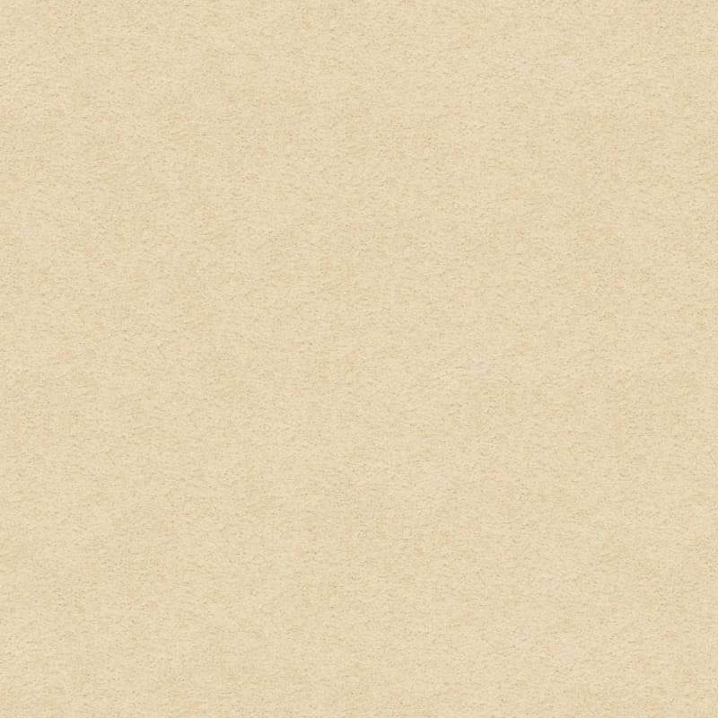 Knockout carpet by Masland