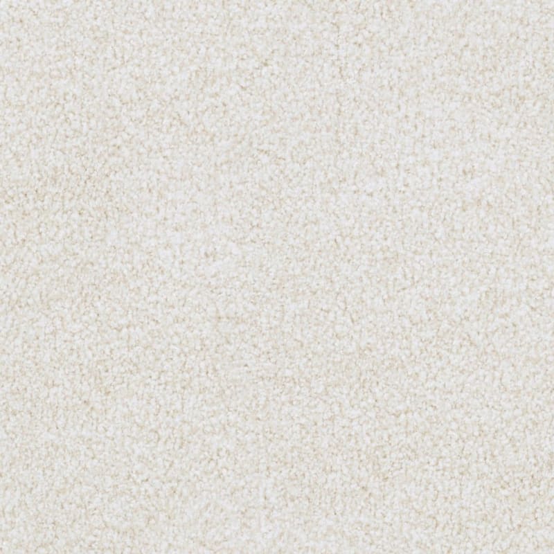 St. Augustine carpet by Masland