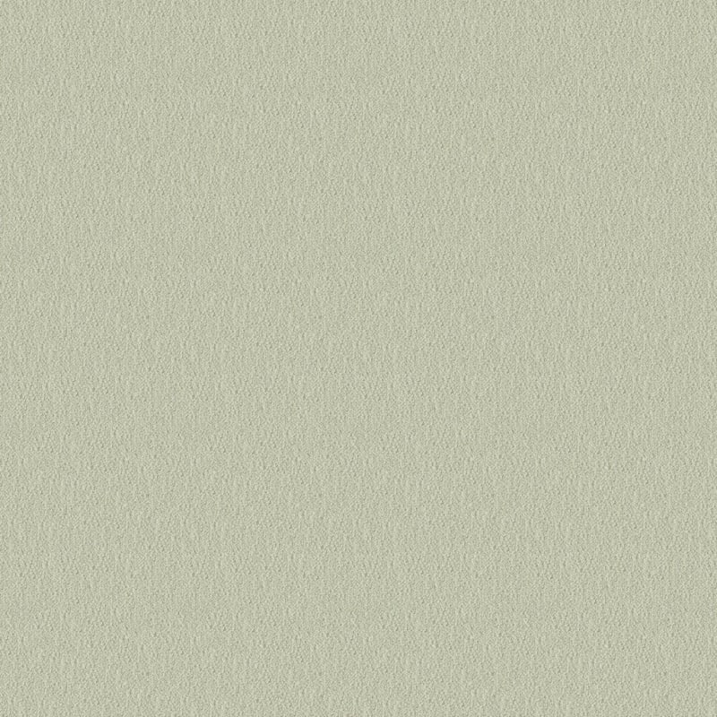 Panache carpet by Masland