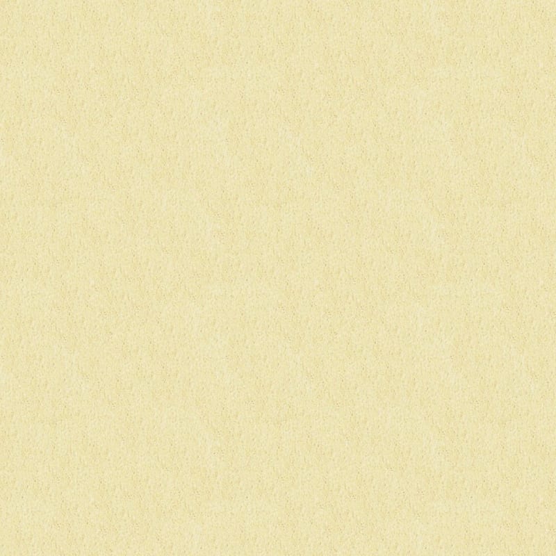 Oceanside carpet by Masland
