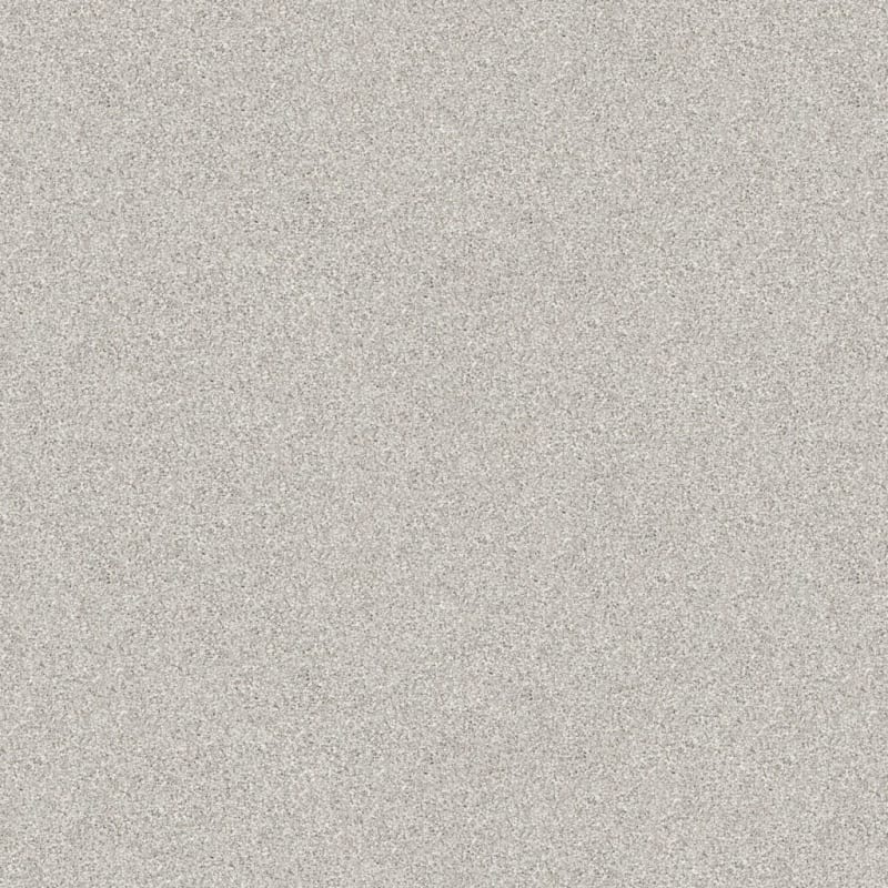 Tracker carpet by Masland