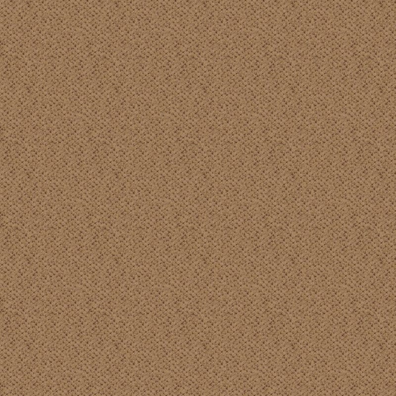 Montauk carpet by Masland