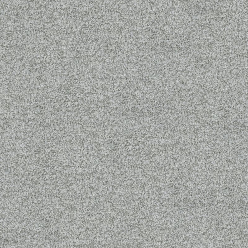 Boca Raton carpet by Masland
