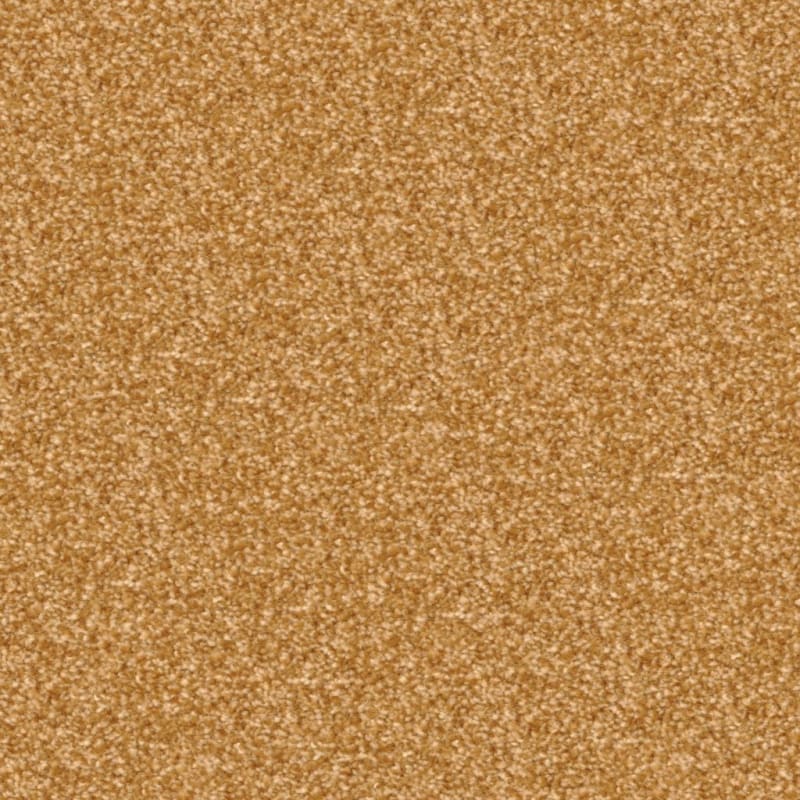 Beacon Hill carpet by Masland
