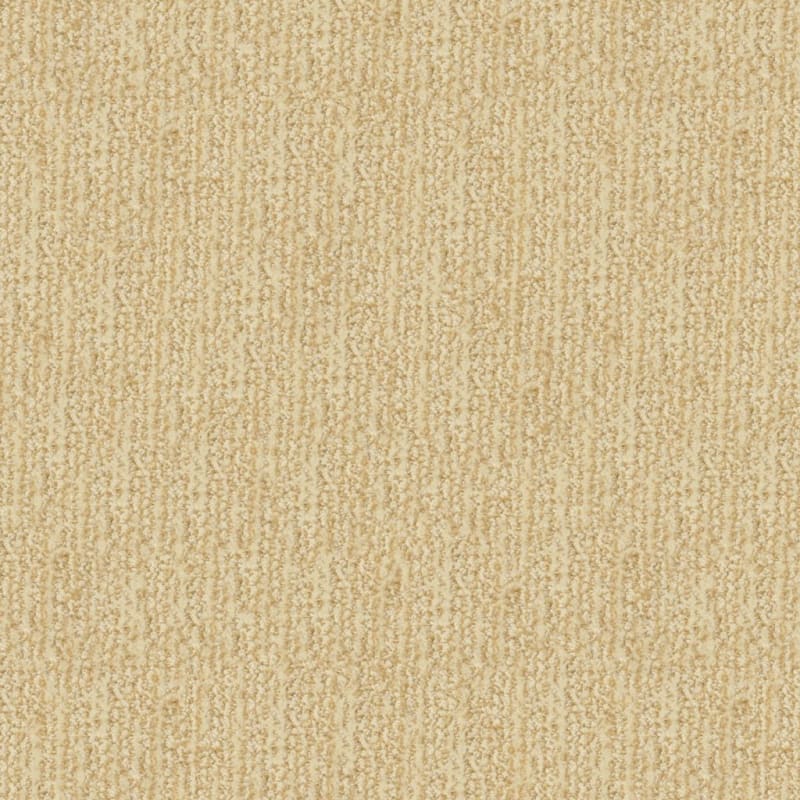 Mesa Verde carpet by Masland
