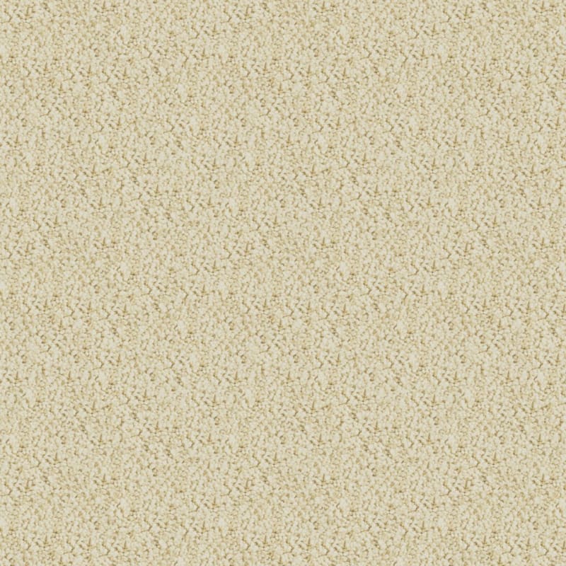 Shangri-La carpet by Masland