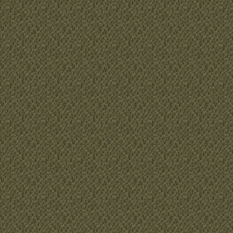 Seurat carpet by Masland