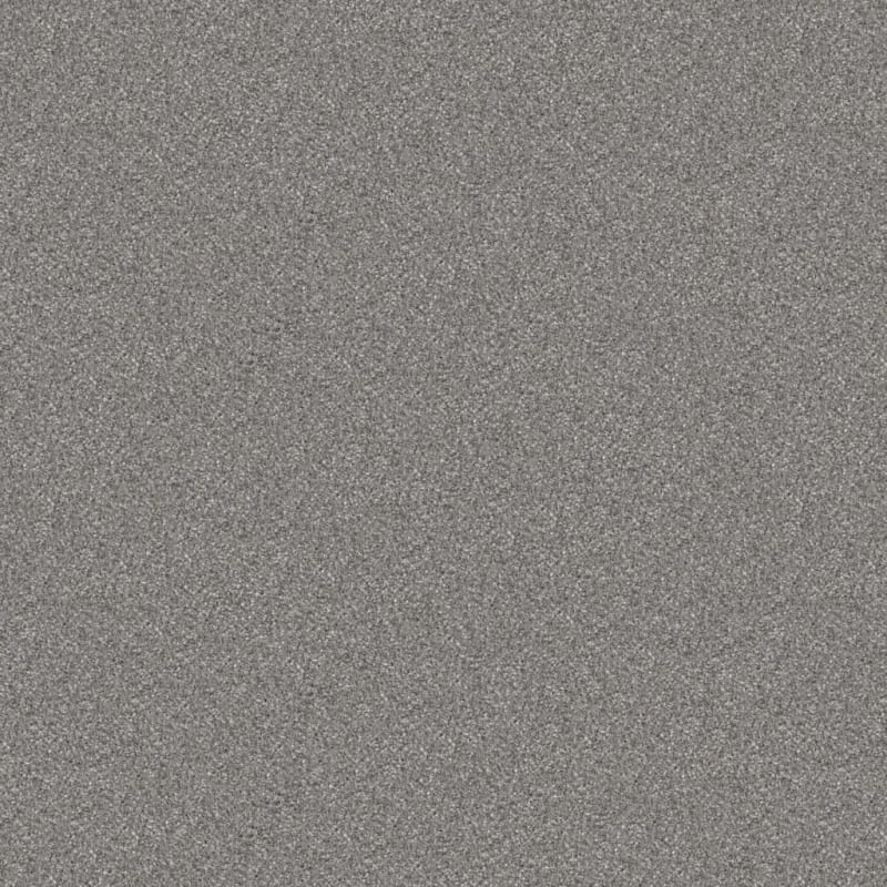 Tracker carpet by Masland