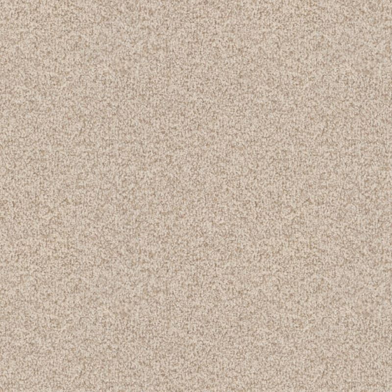 Santa Rosa carpet by Masland