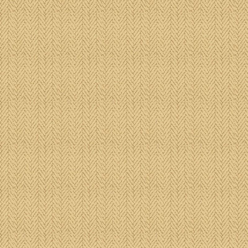 Distinguished carpet by Masland