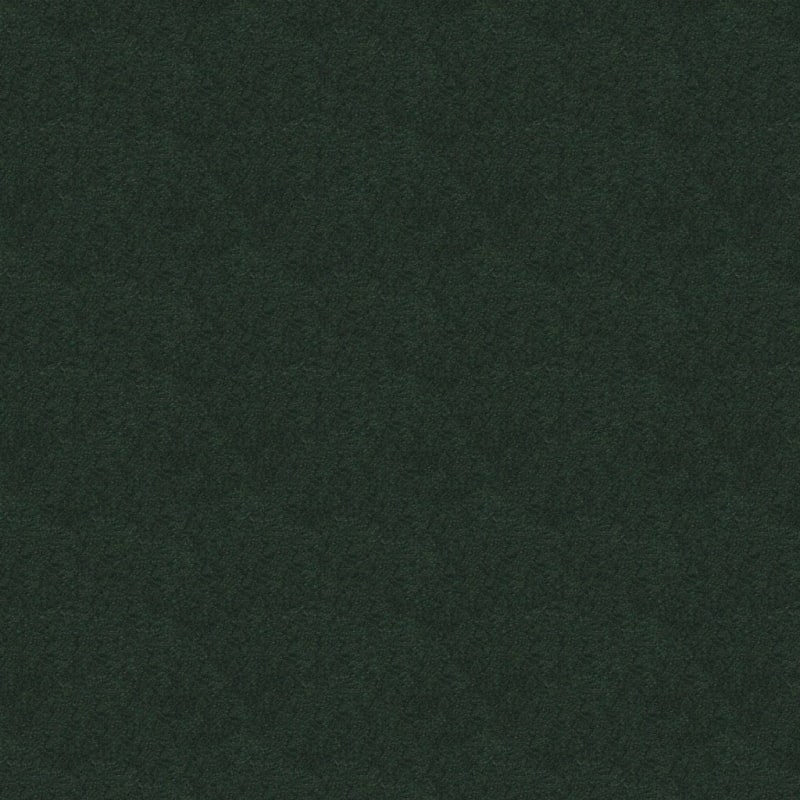 Silk Touch carpet by Masland