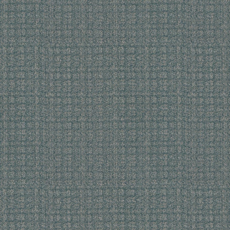 Purebred carpet by Masland