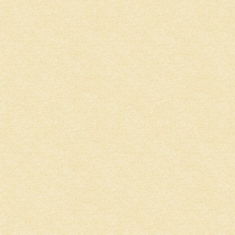 Vero Beach carpet by Masland
