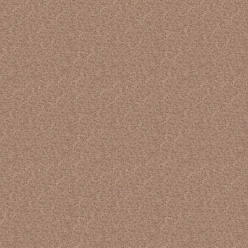 Ravishing carpet by Masland