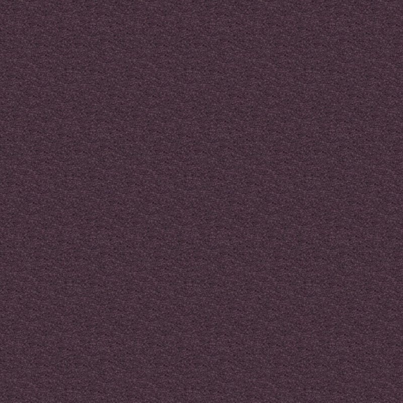 Ravishing carpet by Masland