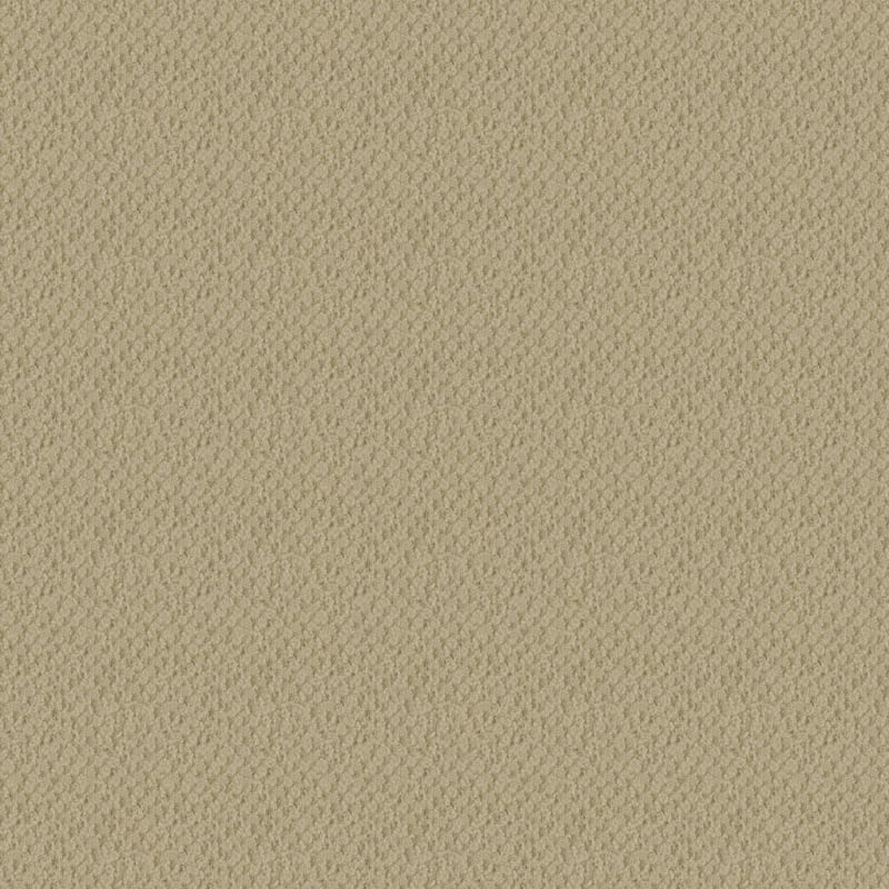 Seurat carpet by Masland