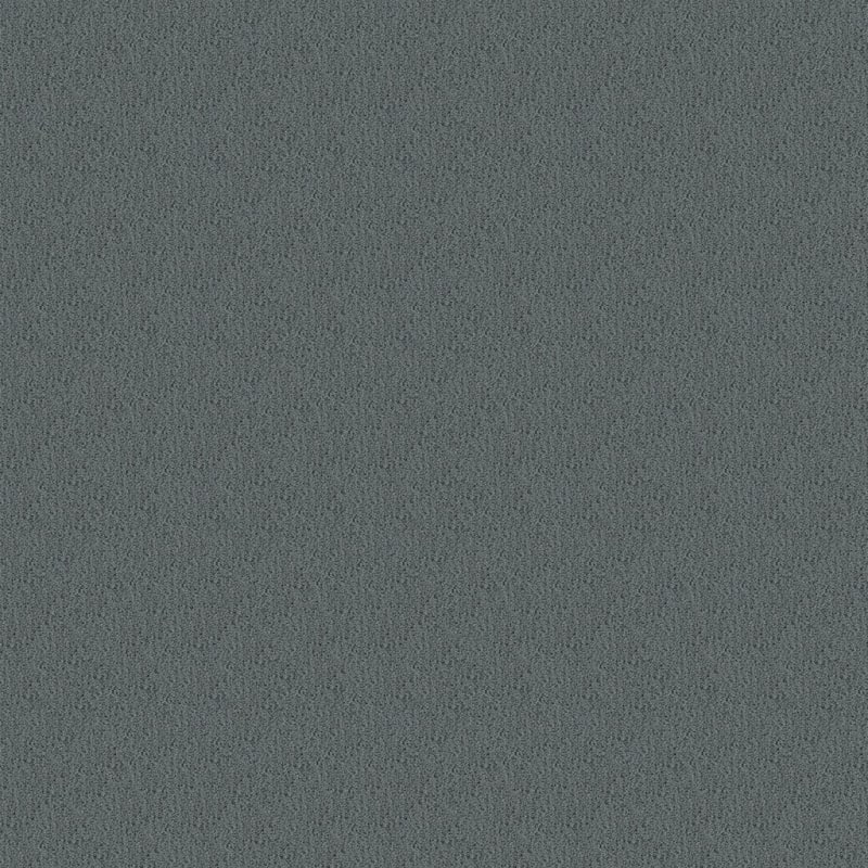 Panache carpet by Masland