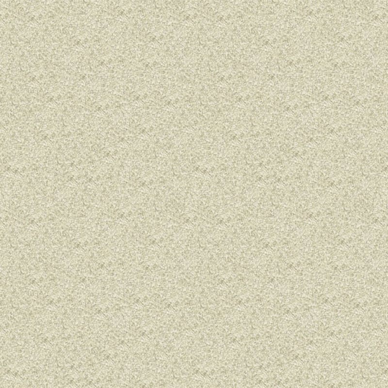 Delray carpet by Masland