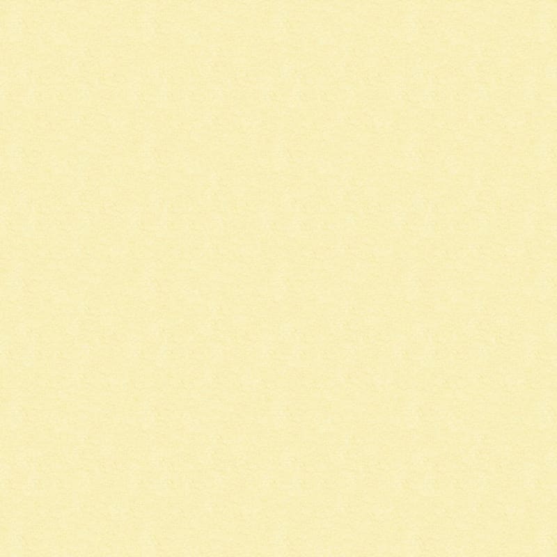 Morgan Bay carpet by Masland
