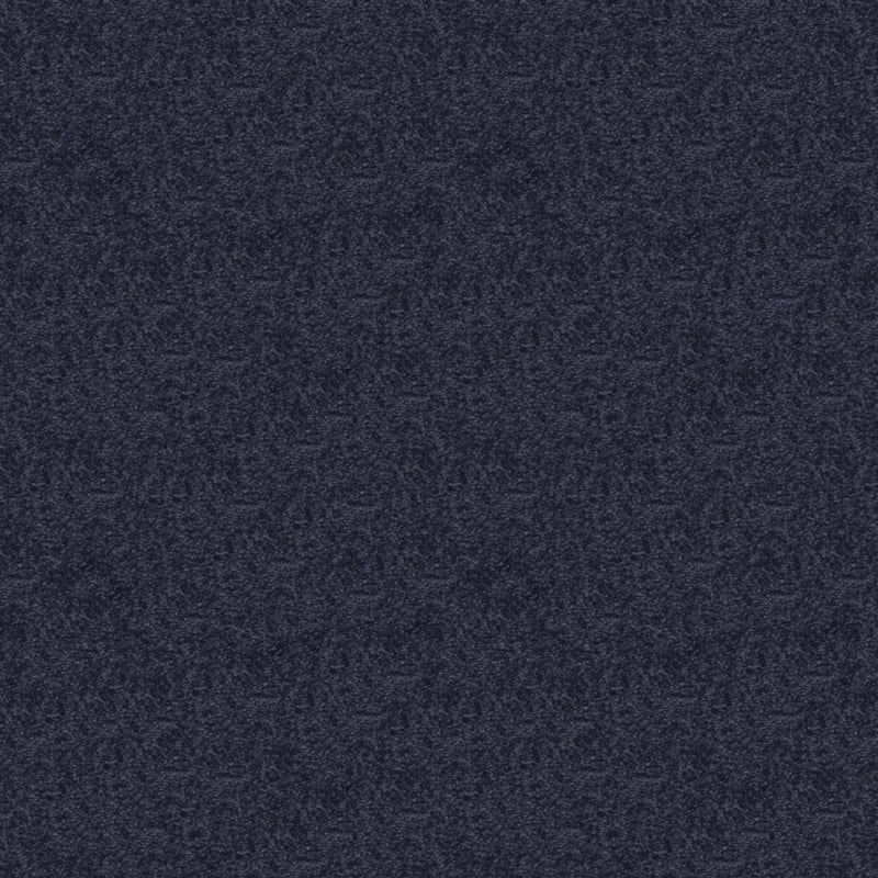 Vero Beach carpet by Masland