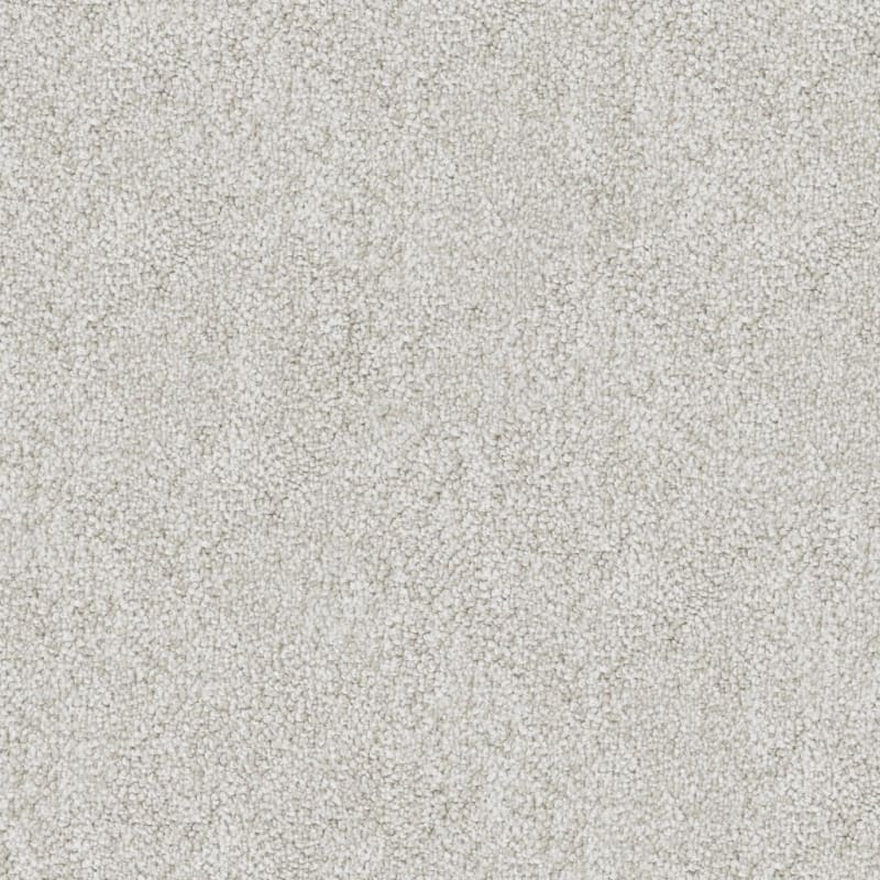Buena Vida carpet by Masland