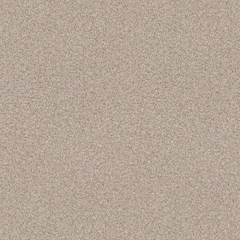 Santa Rosa carpet by Masland