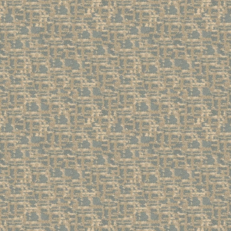 Censor carpet by Masland