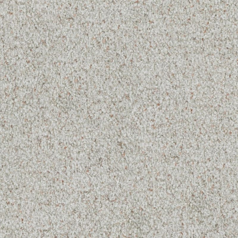 St. Augustine carpet by Masland