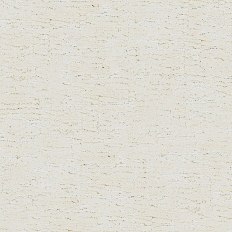Sequoia carpet by Masland