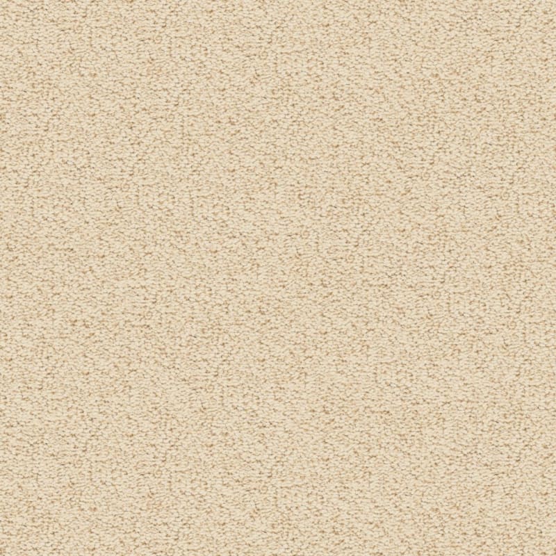Marina Del Mar carpet by Masland