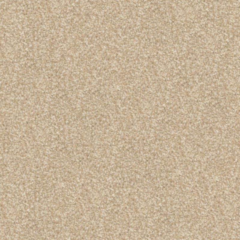 Beacon Hill carpet by Masland