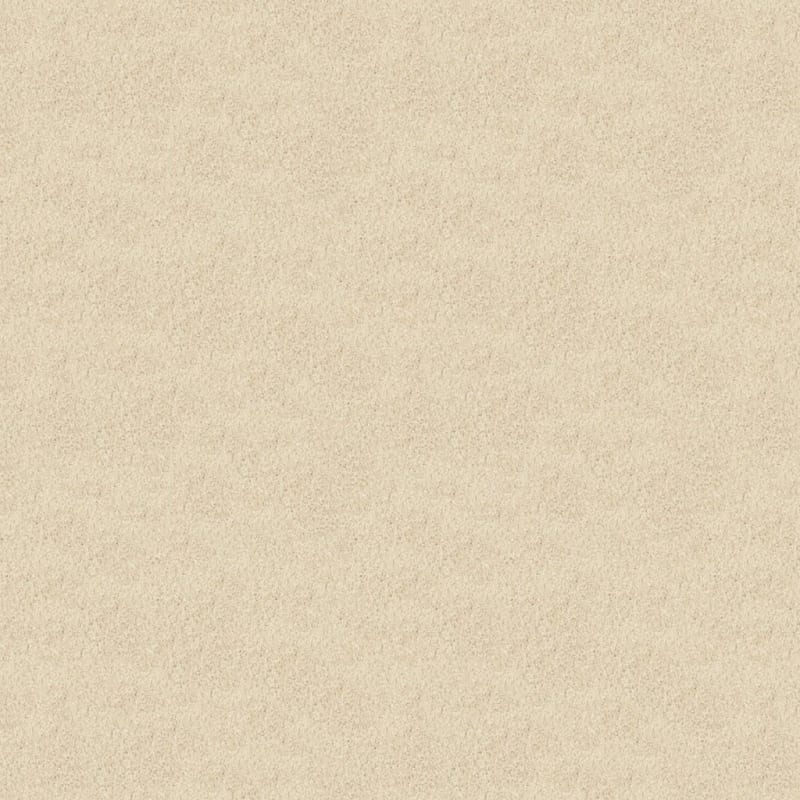 Oceanside carpet by Masland
