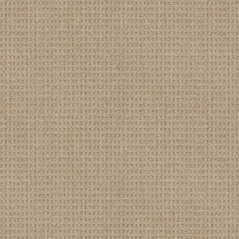 Winslow carpet by Masland