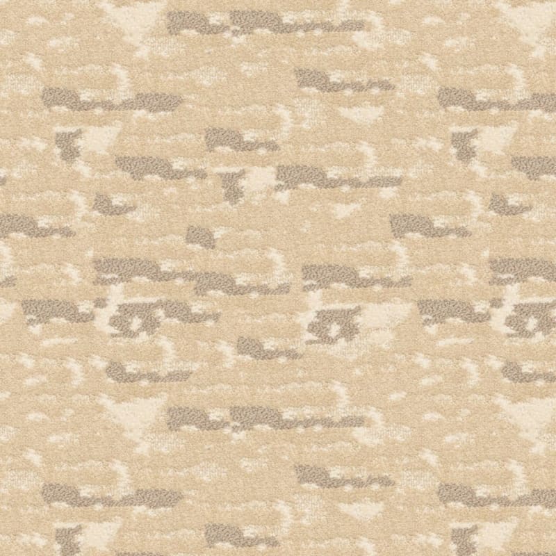 Cosmo carpet by Masland