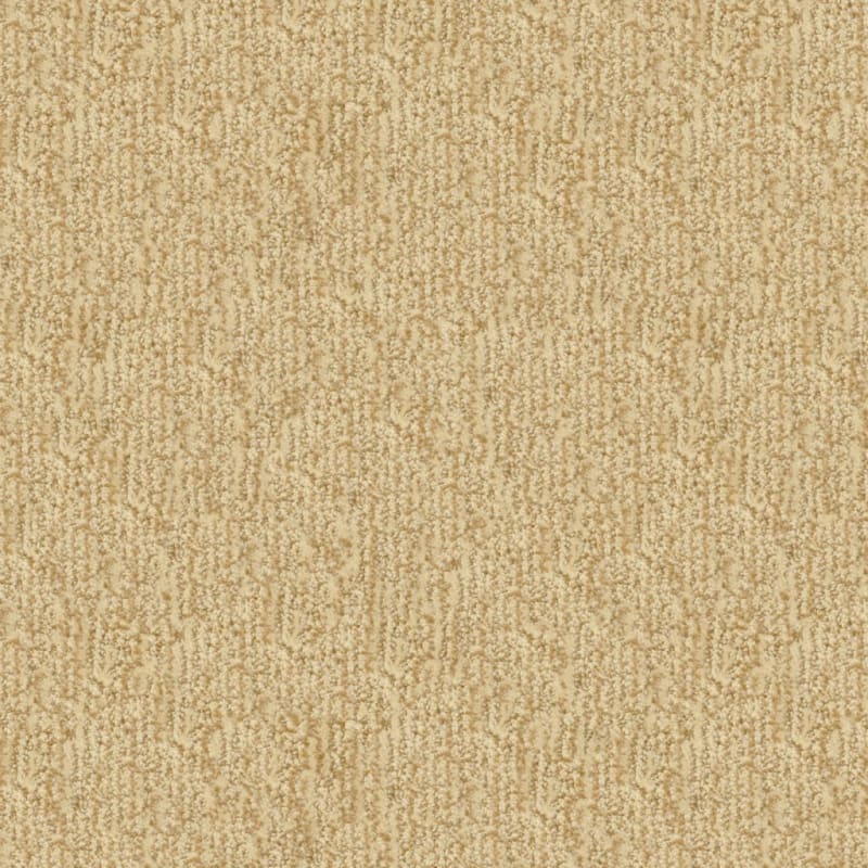 Mesa Verde carpet by Masland