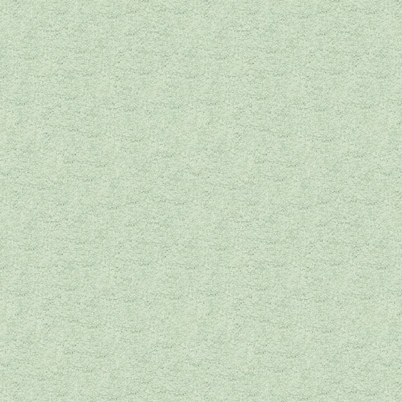 Vero Beach carpet by Masland