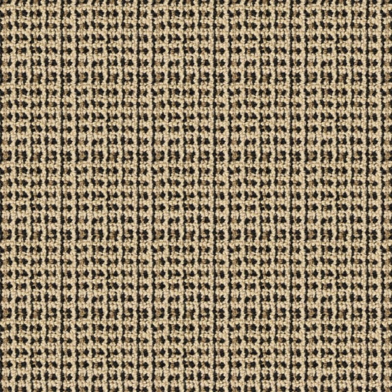 Tresor II carpet by Masland