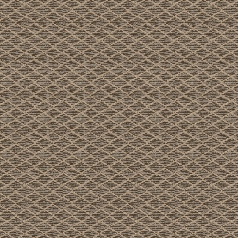Mantra carpet by Masland