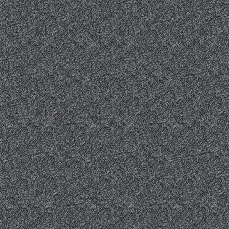 Delray carpet by Masland